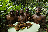 The pygmy canopy honey. The honey-hunters have put the morning honey harvest on a Marantaceae leaf. The period with an abundance of honey is called “Nbosso”, August September. Everybody is in the forest and there's no one left in the village. It's during this period that they make “Douma”, the honey wine, or mead, that was until only recently the only alcohol consumed by the pygmy people. Likouala, Congo
