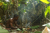 The pygmy canopy honey. In the undergrowth, a fire is lit to prepare the smoker for the bees. In the heart of the forest, when a space is opened to the sun, thousands of gnats swarm to the men to enjoy the mineral salts from their perspiration, drawing from their skin some nourishment. Likouala, Congo