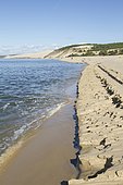 Coastal erosion at the petit-nice beach with the Dune of Pilat in the background, La Teste-de-Buch, Gironde, France