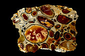 hertfordshire puddingstone, conglomerate, flint clasts in a silicious matrix, Hertfordshire, England
