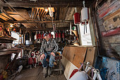 Ernest Burgess, a 74 year old lobsterman in his winter fishing shack, painting lobster buoys and holding a hand made wood hunting duck. Chebeague Island, Maine