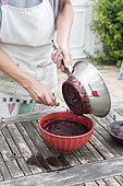 Step by step making of blackberry jam