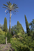 View of part of the gardens, Jardins du Rayol, Rayol Canadel, French Riviera, France