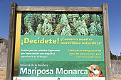 Sierra Chincua, where the monarch butterflies (Danaus plexippus), come in winter from November to March in oyamel pine forests (Abies religiosa), reserve entrance, Reserve of the Biosfera Monarca, Angangueo, State of Michoacan, Mexico