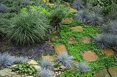 Terracotta path surrounded by Kidney weed (Dichondra repens), Fescue (Festuca glauca) 'Intense blue', Ariege, France