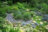 Wild garden with Terracotta path surrounded by Kidney weed (Dichondra repens), Fescue (Festuca glauca) 'Intense blue', Ariege, France