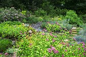 Wild garden with Fortune meadowsweet (Spiraea japonica) 'Shirobana', Fescue (Festuca glauca) 'Intense blue', Aizoon stonecrop (Sedum aizoon), Slate alley, Ariege, France