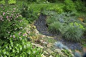 Wild garden with Fortune meadowsweet (Spiraea japonica) 'Shirobana', Little Bluestem (Schizachyrium scoparium) 'Blue Heaven', Pineapple Lily (Eucomis autumnalis), Slate alley Ariege, France