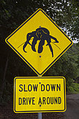 Driver Warning Sign on Road Side, Birgus latro, Christmas Island, Australia