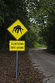 Driver Warning Sign on Road Side, Birgus latro, Christmas Island, Australia