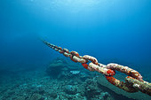 Chain of moored Buoy damages Reef, Christmas Island, Australia