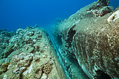 Chain of moored Buoy damages Reef, Christmas Island, Australia