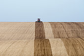 Tractor ploughing rolling farmland near Docking, North Norfolk, England, March