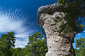Mushroom Rock, Ciudad Encantada, Serranía de Cuenca Natural Park, Cuenca, Castilla - La Mancha, Spain, Europe