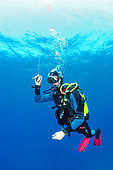 Diver performing his decompression stop, Antheors Péniches dive site, Côte d'Azur, France