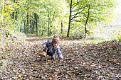 Little girl picking up acorns and chestnuts in the forest in autumn, Moselle, France