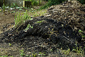 Compost in a vegetable garden.