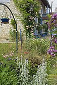 Spring flower bed. House. Mainly blue garden. France