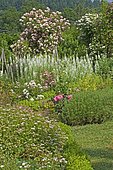 Spring flower bed: Fireweed (Epilobium angustifolium), Spirea (Spiraea sp), Rose (Rosa sp). Jardin du Zéphyr, France