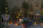 Flowered terrace with night lighting.
