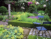 Aromatic garden: Oregano (Origanum vulgare), Rosemary (Rosmarinus officinalis), Bay laurel (Laurus nobilis), Common Stork's Bill (Erodium cicutarium), Pansy (Viola sp), Mme Deferme's garden, Belgium