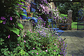 Front garden : Lavender (Lavandula angustifolia) 'Hidcote Blue', Eryngo (Eryngium sp), Glazeley, Old Rectory, Shropshire