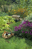 Wheelbarrow in an organic vegetable garden full of flowers in summer