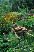 Wheelbarrow in an organic vegetable garden full of flowers in summer