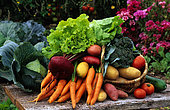 Still life of summer vegetables