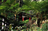 Tropical garden of Monte-Pont. Madeira