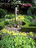 Flowered aromatics garden with water pump, Alpine lady's mantle (Alchemilla mollis), Common Stork's Bill (Erodium cicutarium), Rose 'Guirlande d'amour' (Rosa sp), Mme Deferme's garden, Belgium