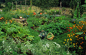 Organic vegetable garden full of flowers in summer