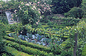 Structured vegetable garden: Cabbage (Brassica oleracea), Boxwood (Buxus sp). Rose 'Blush Hazelnut' (Rosa sp). Pear tree (Pyrus communis). Mr & Mrs Broeckaert garden. Belgium