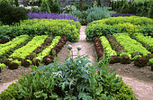 Vegetable garden. Row of salads. Floral park of haute-Bretagne, France