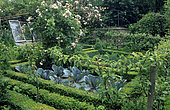 Potager structuré : Chou (Brassica oleracea), Buis (Buxus sp). Rosier 'Blush Noisette' (Rosa sp). Poirier (Pyrus communis). Jardin Mr & Mme Broeckaert. Belgique