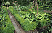 Vegetable garden squares surrounded by Boxwood (Buxus sp). The Old Rectory, England