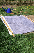 Radish sowing : Laying a growth veil, for cold regions, Spring