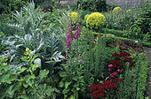 Flowered vegetable garden: Artichoke (Cynara scolymus), Salad (Lactuca sp), Carnation (Dianthus sp), Foxglove (Digitalis sp), Barnsley Hous, England