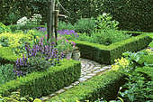 Garden of herbs and flowers: Sage (Salvia sp), Oregano (Origanum sp), Chamomile (Anthemis sp), Mr and Mrs Deferme's Garden, Belgium