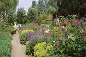 Garden scene with Catnip (Nepeta sp), Lupine (Lupinus sp), Foxglove (Digitalis sp), Lady's mantle (Alchemilla sp). Private garden, Belgium.