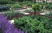 Vegetable garden, Grays Court, England