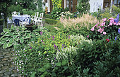 Flowered terrace with Plantain Lily (Hosta crispula), Géranium (Geranium sp), Woodland sage (Salvia nemorosa), Astilbe (Astilbe sp), garden of Mr. and Mrs. Deferme. Belgium