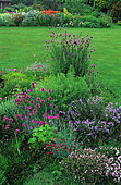 Condiment garden: Garlic (Allium sp), Carnation (Dianthus sp), Butterfly lavender (Lavandula stoechas), grass