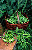Basket of peas (Pisum sativum), still life. Vegetable