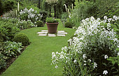 White monochrome bed: Dame's Rocket seed (Hesperis matronalis) 'Alba', Eremurus (Eremurus sp), Le Clos du Coudray, Etaimpois, Normandy, France