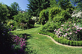 Garden scene in summer with Boxwood (Buxus sp) and Rosier (Rosa sp), Jardin Floral du Viaduc, France