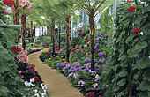Flowered greenhouse, Royal Greenhouses of Belgium