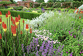 Flower bed with Tritoma (Kniphofia sp), Rose (Rosa sp)..., Packwood House, England