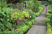 Gravelled driveway with ornamental garlic (Allium sp), Peony (Paeonia sp) and bench, Kellie Castle, Scotland