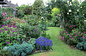 Garden entrance, Armenian Geranium (Geranium psilostemon), Rockrose (Cistus sp), Rose (Rosa sp) 'Sombreuil', Walnut tree Garden, Kent, England